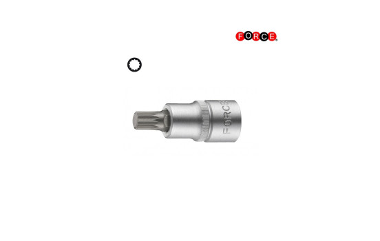 Force Bit Socket 1/2" Multi-tooth M16