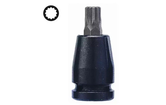 Force Bit Socket force 1/2" Multi-tooth M8