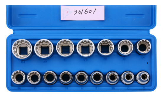 All-drive socket sets 1/2 ", 16 pcs.