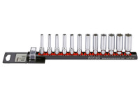 Socket set 1/4 ", long 12-pin on rail