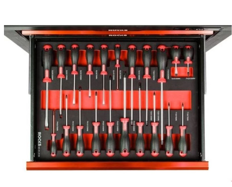 Rooks Screwdriver set, SL, Torx, pH, 21-piece