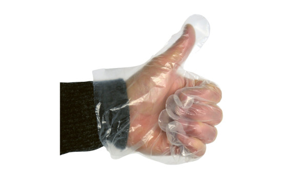 Disposable glove ds.80xkopkrt (100), Image 2