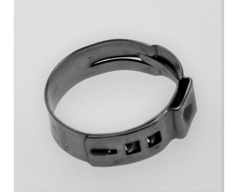 Hose clamp