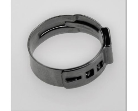 Hose clamp