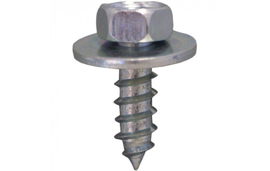 Hexagon bolt OEM: 311821143 6.3x19mm galvanized - 20 pieces