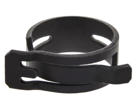 Hose clamp