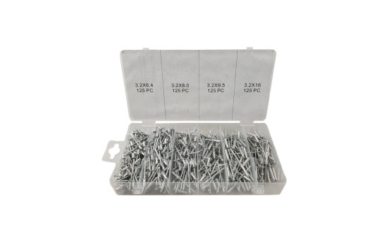 Assortment Blind Rivet 500 pcs