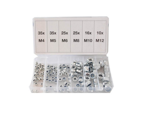 Assortment Lock Nuts 146 pcs