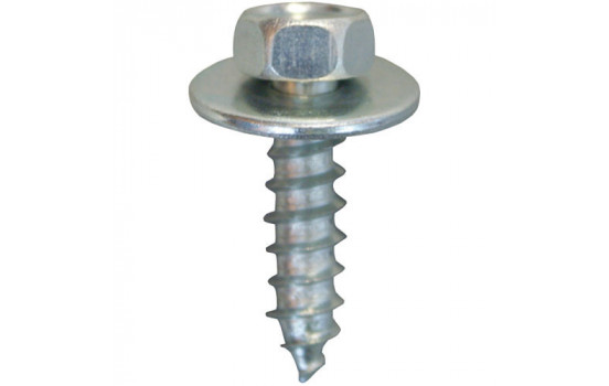 Hexagon bolt OEM: 2022209 -11074862-2022158 6.3x25m galvanized - 5 pieces