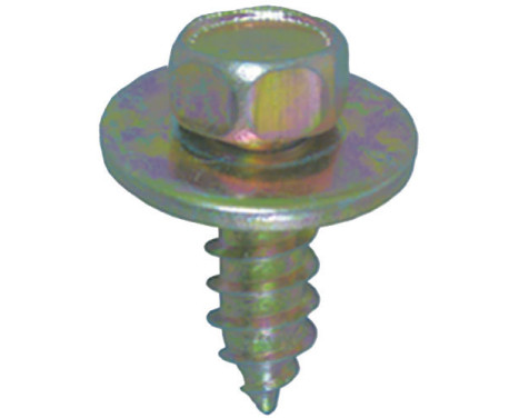Hexagon head bolt OEM: 2022107 - 11077982 5.5x16mm galvanized - 5 pieces