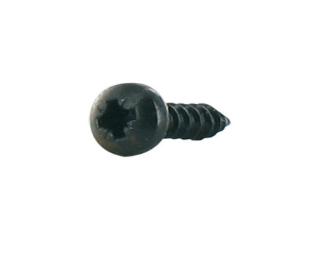Parker 4.2x12mm 100 pieces