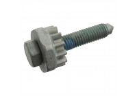 Tensioner Bolt, alternator Mount