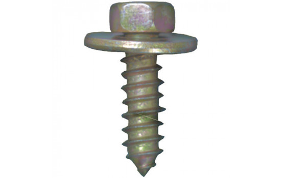 Hexagon head bolt OEM: 2026706 -11093351 5.5x19mm galvanized - 20 pieces