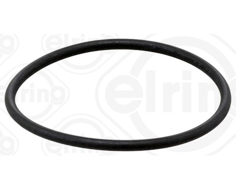 Seal Ring