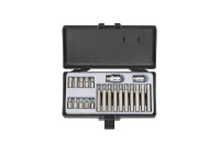 Force Bit set Resistorx 22 pieces