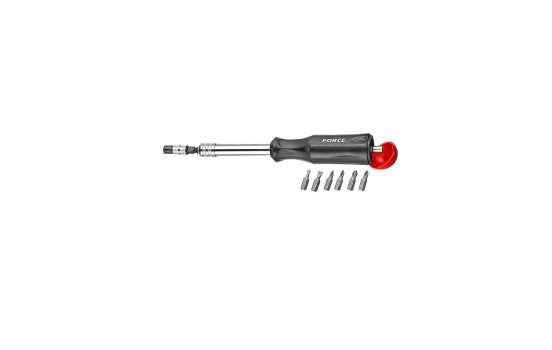 1/4" Screwdriver flexible with bits