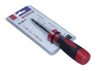 Rooks Interchangeable screwdriver 6 in 1