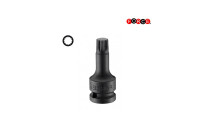 1/2" Imp. multi-tooth socket bit M18 (one-piece)