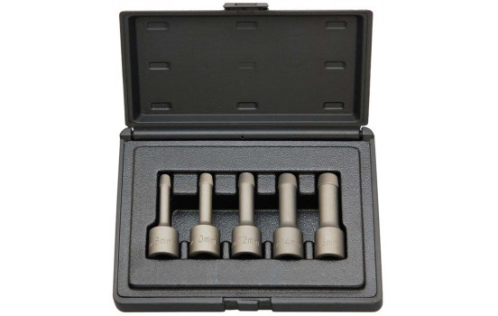 Steiner 1/2 Spiral Socket Set