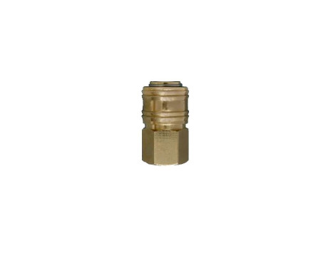 Rooks Quick coupling 1/4" female, female thread