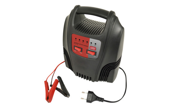 Battery charger 12A (EU plug)