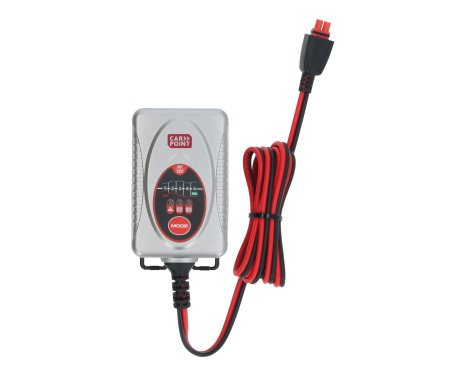 Carpoint BX-4M 6V/12V Battery Charger 1 Ampere, Image 2