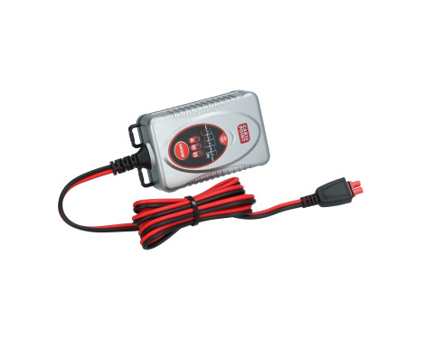 Carpoint BX-4M 6V/12V Battery Charger 1 Ampere, Image 7