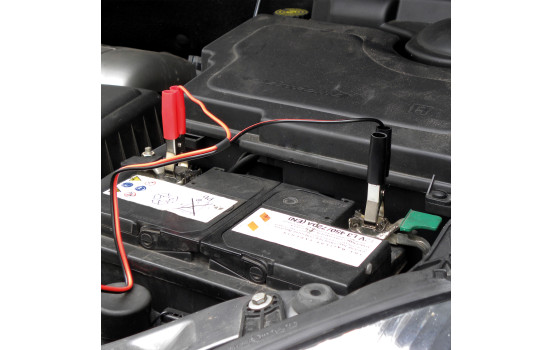 Trickle Charger 12V (EU plug), Image 2