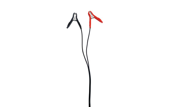 Trickle Charger 12V (EU plug), Image 4