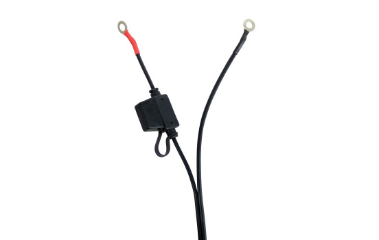 Trickle Charger 12V (EU plug), Image 5