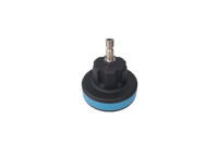 WT-916-13 Loose cap no. 13 from WT-916