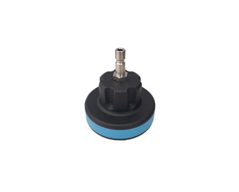 WT-916-13 Loose cap no. 13 from WT-916