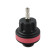 WT-916-15 Loose cap no. 15 from WT-916