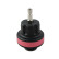 WT-916-15 Loose cap no. 15 from WT-916, Thumbnail 4