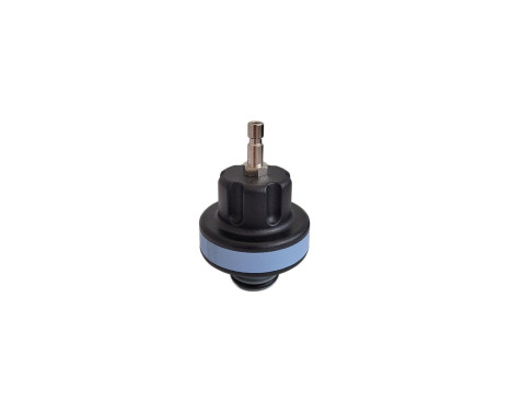 WT-916-17 Loose cap no. 17 from WT-916