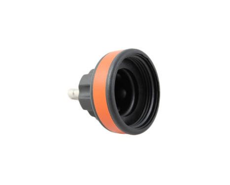 WT-916-6 Loose cap no. 6 from WT-916, Image 2