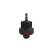 WT-916-7 Loose cap no. 7 from WT-916