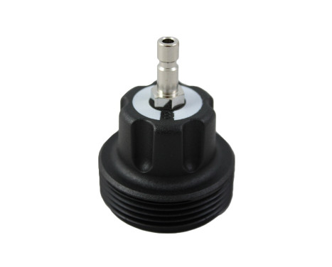 WT-916-8 Loose cap no. 8 from WT-916