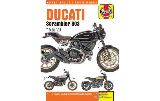 Ducati Scrambler 803 ('15 - '20)