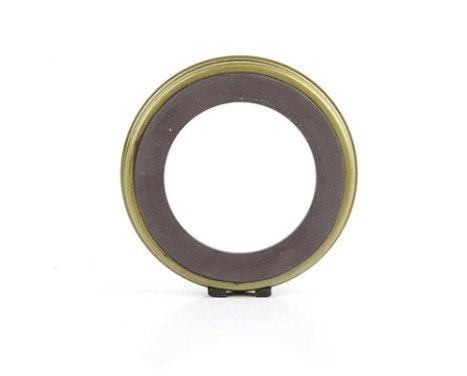 Sensor ring, ABS