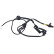 Sensor, wheel speed 31425 ABS