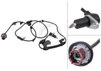 Sensor, wheel speed 31845 ABS