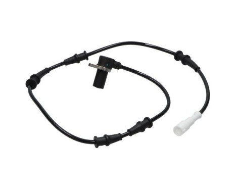Sensor, wheel speed BAS-2133 Kavo parts, Image 3
