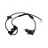 Sensor, wheel speed BAS-3118 Kavo parts, Thumbnail 4