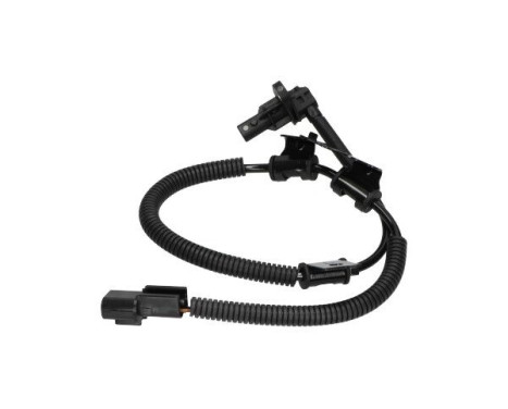 Sensor, wheel speed BAS-4016 Kavo parts, Image 3