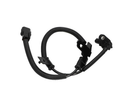 Sensor, wheel speed BAS-4016 Kavo parts, Image 4