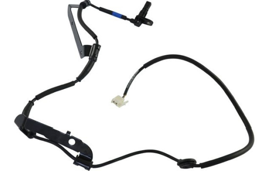 Sensor, wheel speed BAS-4017 Kavo parts