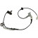 Sensor, wheel speed BAS-4553 Kavo parts, Thumbnail 2