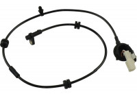 Sensor, wheel speed BAS-4558 Kavo parts