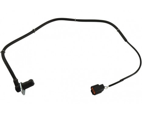 Sensor, wheel speed BAS-5512 Kavo parts